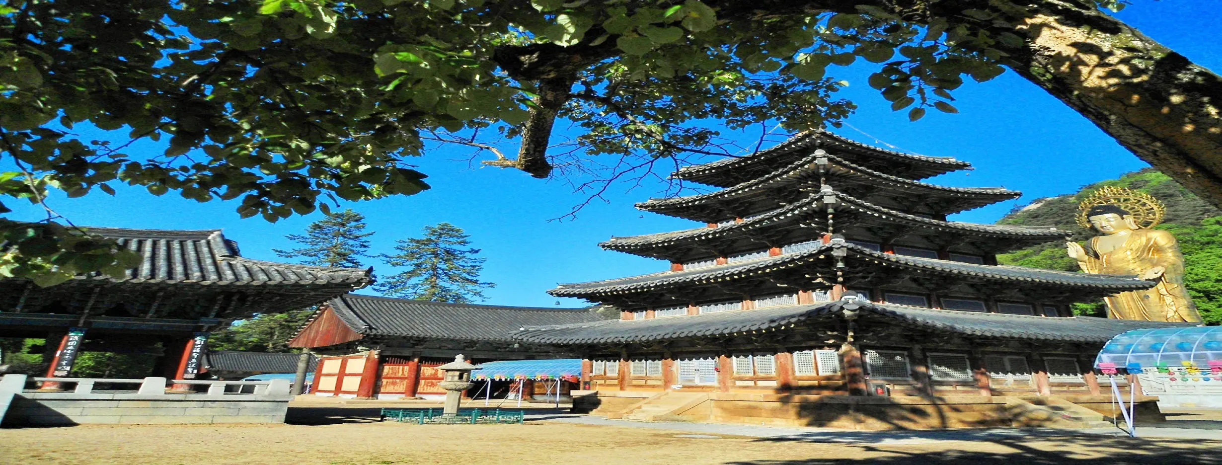 Image for Temple Stay